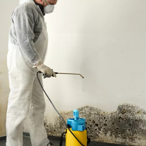 Draper Mold Remediation