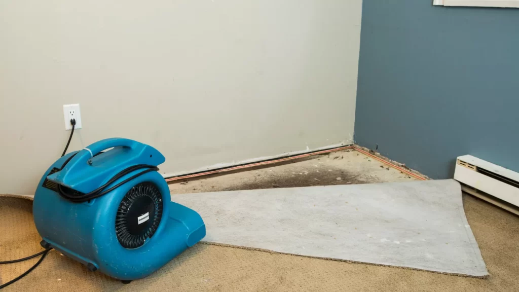 Water Damage Utah